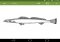 Adobe Shape Android image 2 thumbnail