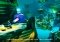 Adventures of Poco Eco Android image 2 thumbnail