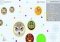 Agar.io Android image 2 thumbnail