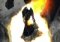 Age of Conan image 5 thumbnail