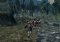 Age of Conan image 7 thumbnail