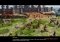 The Asian Dynasties image 1 thumbnail