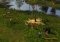The Warchiefs image 3 thumbnail