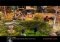 The Warchiefs image 4 thumbnail