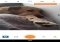 AirBrush Android image 1 thumbnail