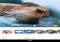 AirBrush Android image 2 thumbnail