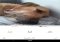 AirBrush Android image 5 thumbnail