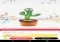 AliExpress Shopping App Android image 3 thumbnail