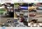 AllCast iPhone image 1 thumbnail
