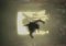 Alone in the Dark 5 image 5 thumbnail