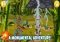 Angry Birds Epic iPhone image 4 thumbnail