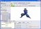 Animoids 2.2.10