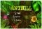 Anthill Android image 1 thumbnail