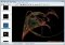 Apophysis image 2 thumbnail