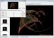 Apophysis image 4 thumbnail