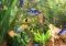 Aqua 3D Screensaver image 3 thumbnail