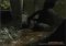 AquaMark image 2 thumbnail