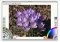ArtRage Mac image 2 thumbnail