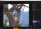 Ashampoo Photo Optimizer image 1 thumbnail