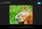 Aviary Photo Editor image 4 thumbnail
