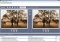 Awesome Duplicate Photo Finder image 5 thumbnail