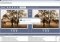 Awesome Duplicate Photo Finder image 6 thumbnail