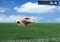 Ball Lifting iPhone image 3 thumbnail