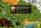Ballville: Le Commencement image 1 thumbnail
