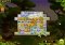 Ballville: Le Commencement image 2 thumbnail