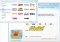 Bandoo image 4 thumbnail