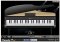 BandzPro image 6 thumbnail