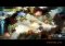 Bastion image 5 thumbnail