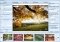 BatchMarker image 1 thumbnail