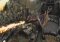Bethesda Pinball Android image 2 thumbnail