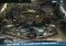Bethesda Pinball iPhone image 1 thumbnail