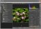 Bibble image 3 thumbnail