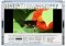 Blaze Media image 2 thumbnail