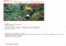 Blingee Webapps image 4 thumbnail
