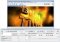 BluffTitler image 1 thumbnail