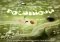 Botanicula Android image 1 thumbnail