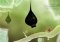 Botanicula Android image 2 thumbnail