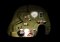 Botanicula Android image 5 thumbnail