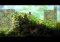 Braid image 3 thumbnail