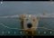 Bright Weather Android image 1 thumbnail