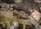 Brothers: A Tale of Two Sons iPhone image 3 thumbnail