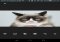 Recherche image Android image 3 thumbnail