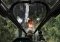 Call of Duty: Black Ops image 8 thumbnail