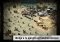 Call of Duty: Heroes Android image 1 thumbnail