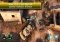 Call of Duty: Strike Team iPhone image 1 thumbnail