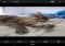 Z Camera Android image 3 thumbnail